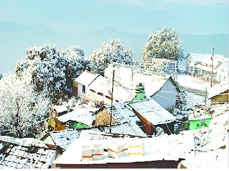 Ranikhet, Chaubtia the season's first snowfall, rain occurred